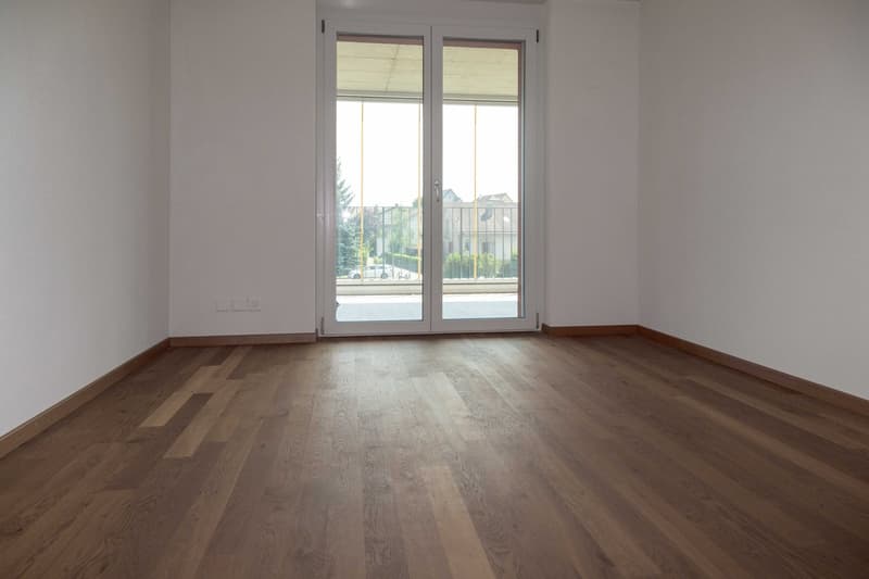 Appartamento luminoso 3,5 locali con ampio balcone (3)