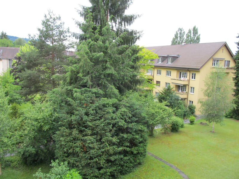 Wohnen in der Nähe vom Egelsee (10)