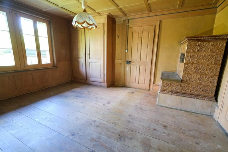 Bauernhaus mit 2 Wohnungen auf 3'935 m2 (6)