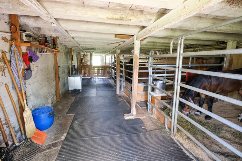 Bauernhaus mit 2 Wohnungen auf 3'935 m2 (10)