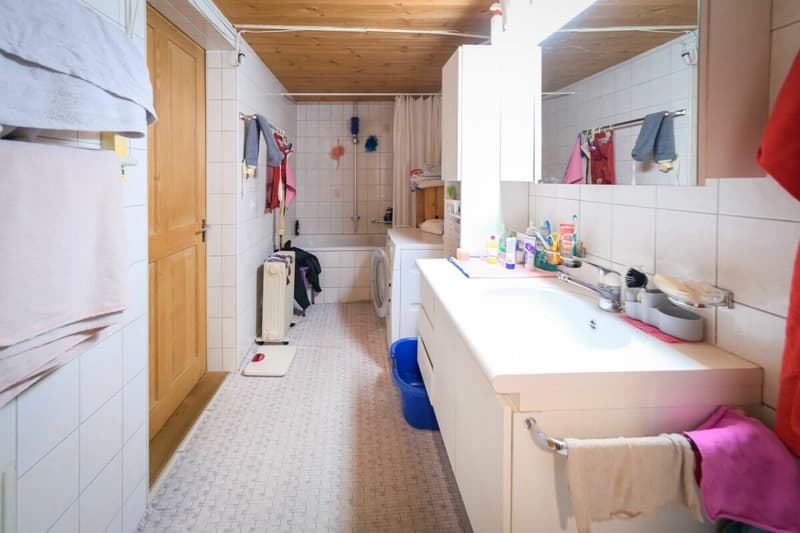 Bauernhaus mit 2 Wohnungen auf 3'935 m2 (7)