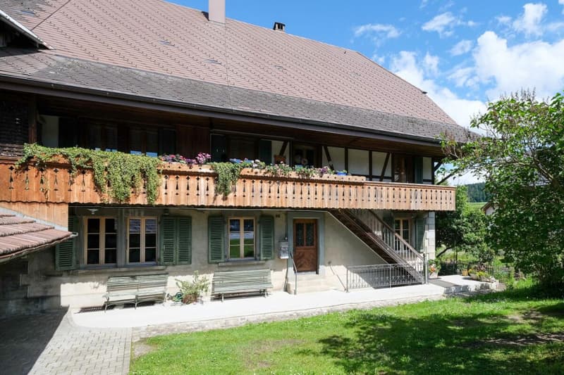 Bauernhaus mit 2 Wohnungen auf 3'935 m2 (18)