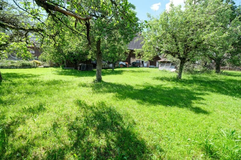 Farmhouse with 2 apartments on 3'935 m2 (19)