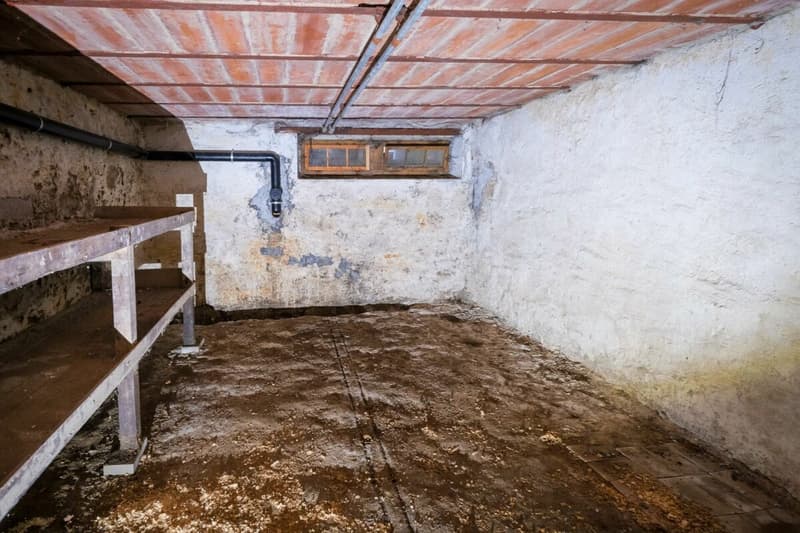 Bauernhaus mit 2 Wohnungen auf 3'935 m2 (11)