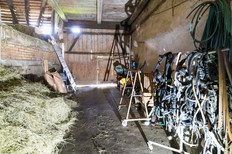 Bauernhaus mit 2 Wohnungen auf 3'935 m2 (12)