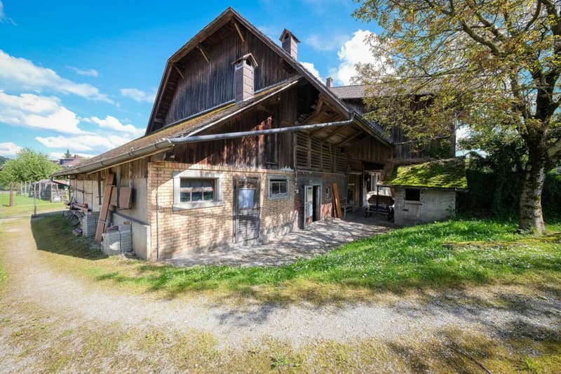 Bauernhaus mit 2 Wohnungen auf 3'935 m2 (14)