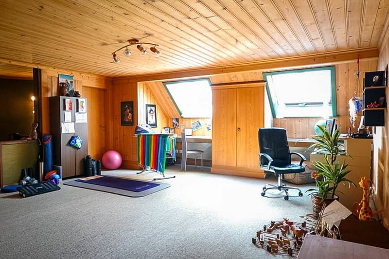 Living, commerce, store, hobby rooms (4)
