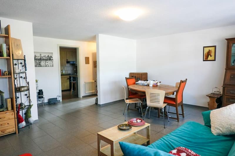 Living, commerce, store, hobby rooms (9)
