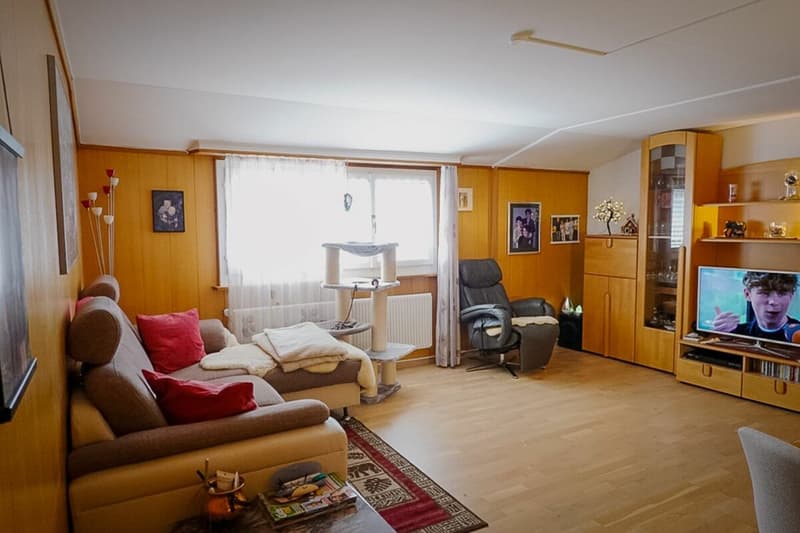 Living, commerce, store, hobby rooms (3)