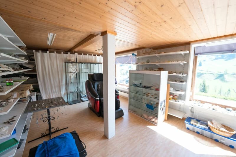 Two residential houses including studio and shop (7)