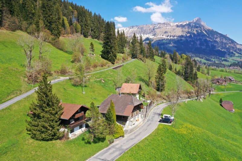 Two residential houses including studio and shop (1)