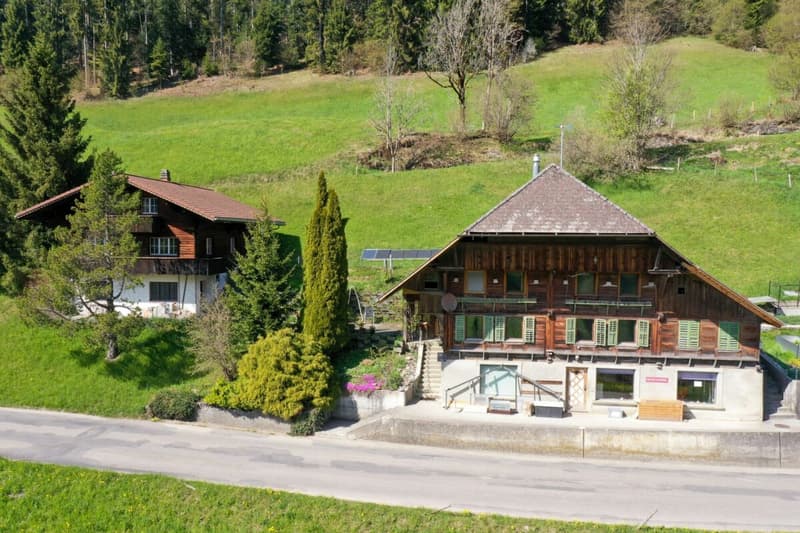 Two residential houses including studio and shop (2)