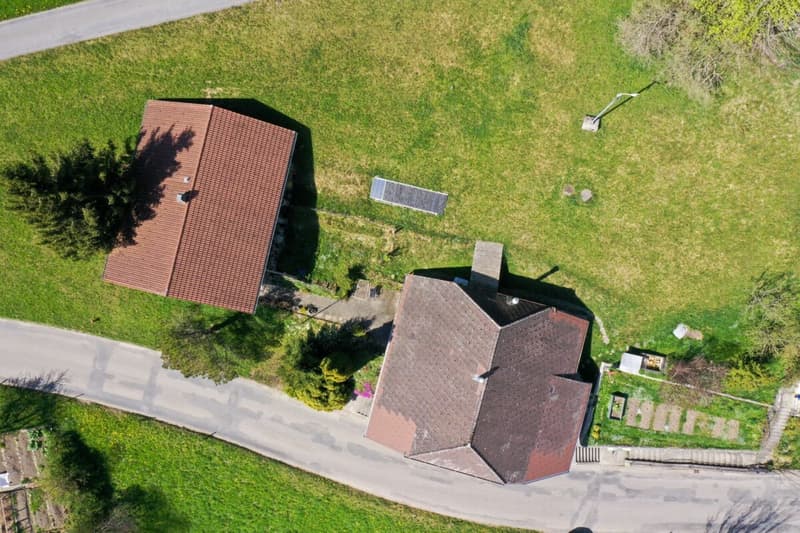 Two residential houses including studio and shop (3)
