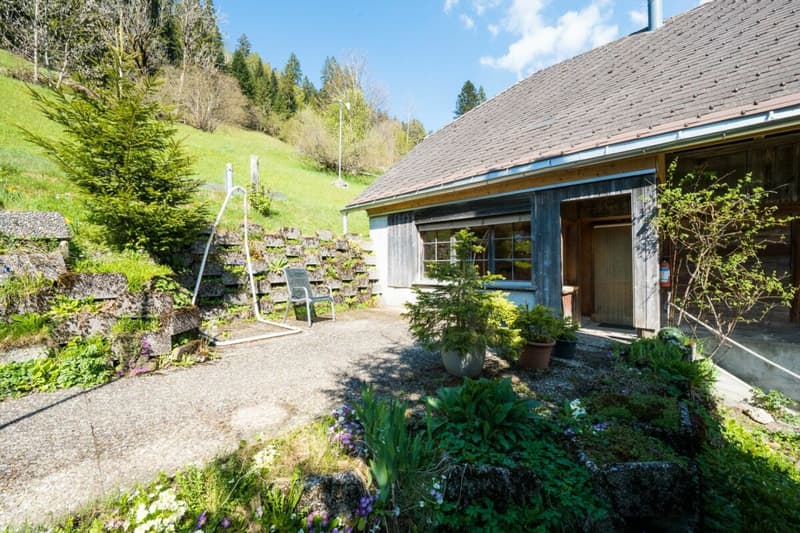 Two residential houses including studio and shop (6)