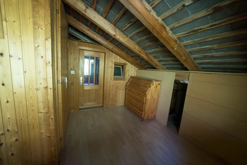 Two residential houses including studio and shop (33)