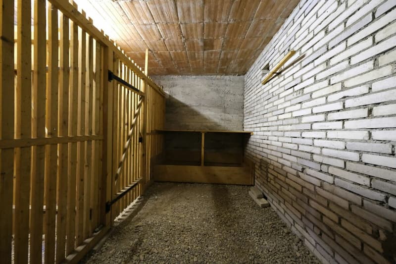 Central 5-room apartment on the 1st floor (16)