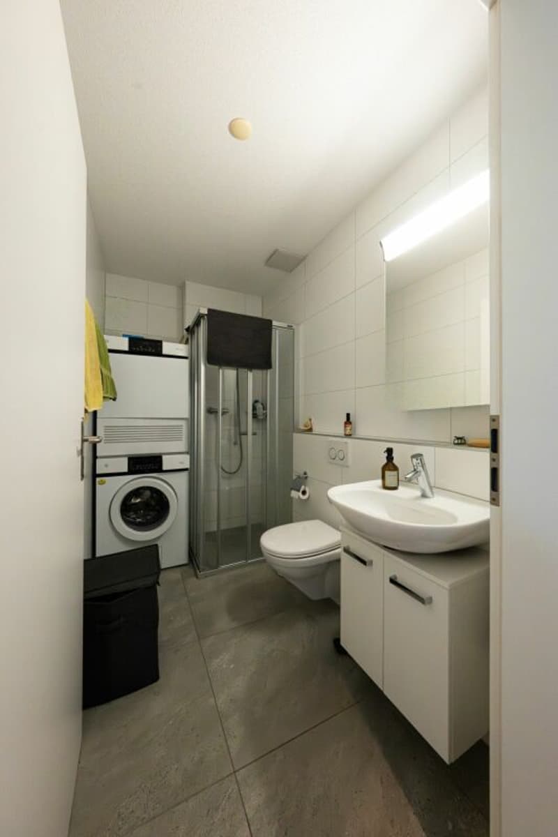 Moderne 2.5-Zimmerwohnung 2. OG Mitte (8)