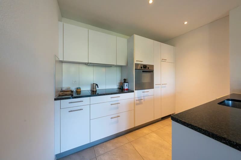 Moderne 2.5-Zimmerwohnung 2. OG Mitte (3)