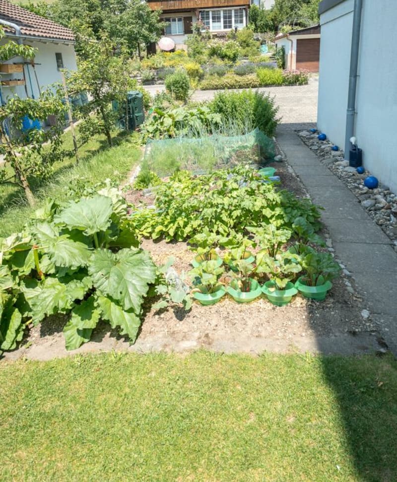 Grosszügige 4.5-Zimmerwohnung im Parterre (4)
