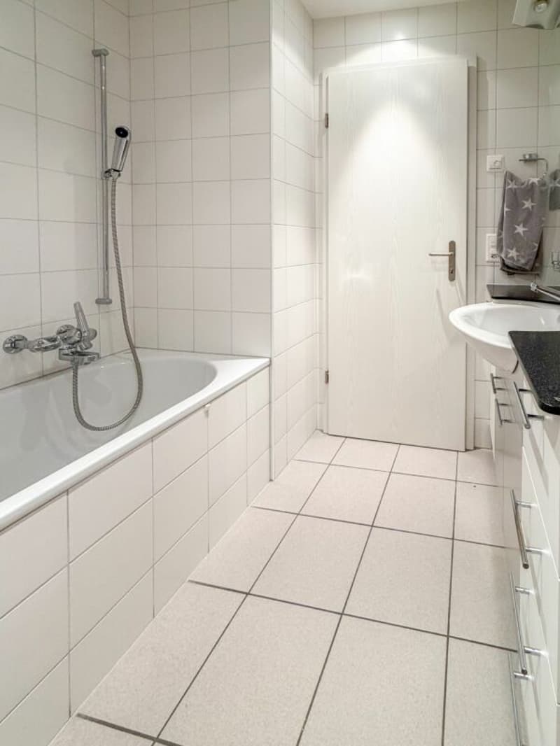 Grosszügige 4.5-Zimmerwohnung im Parterre (12)