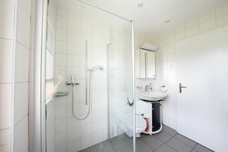 Grosszügige 4.5-Zimmerwohnung im Parterre (7)