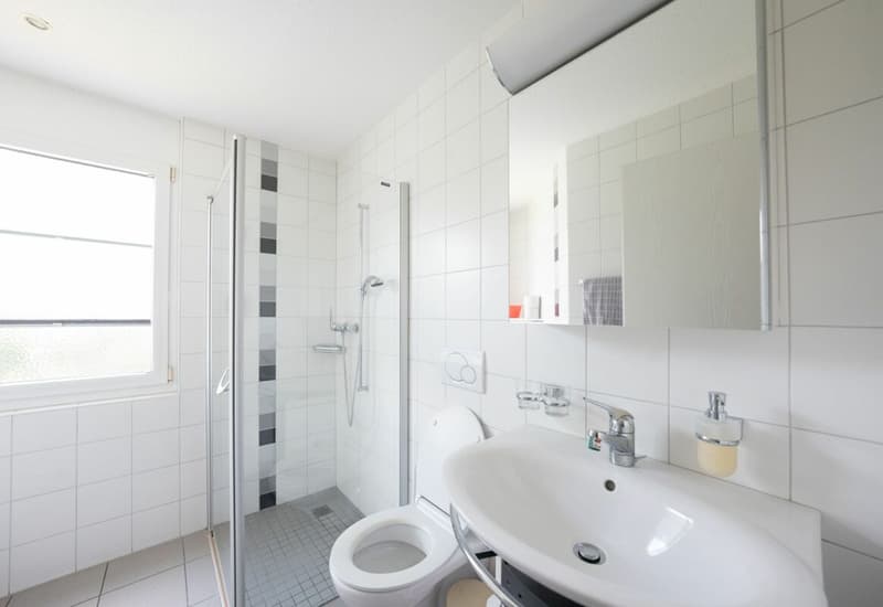 Grosszügige 4.5-Zimmerwohnung im Parterre (6)