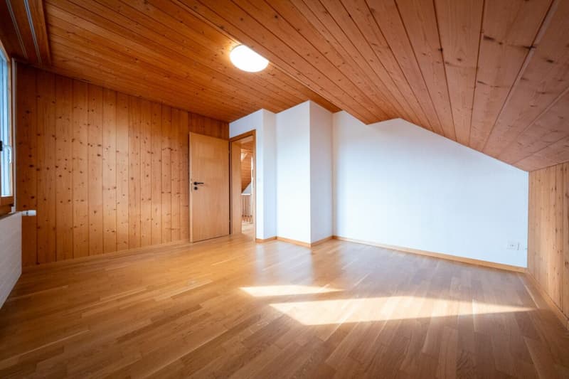 Zweifamilienhaus mit Garagen, Werkstatt und Lagerräumen zu verkaufen (34)