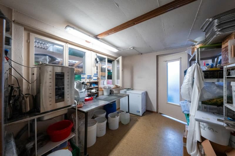 Zweifamilienhaus mit Garagen, Werkstatt und Lagerräumen zu verkaufen (12)
