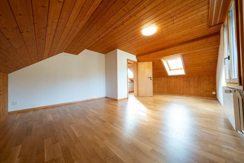 Zweifamilienhaus mit Garagen, Werkstatt und Lagerräumen zu verkaufen (36)