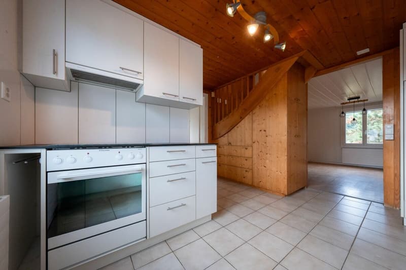 Zweifamilienhaus mit Garagen, Werkstatt und Lagerräumen zu verkaufen (23)