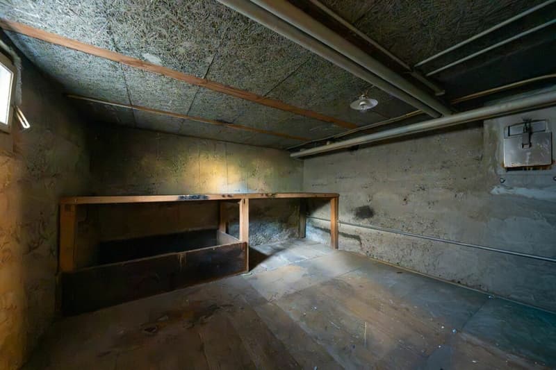Zweifamilienhaus mit Garagen, Werkstatt und Lagerräumen zu verkaufen (38)