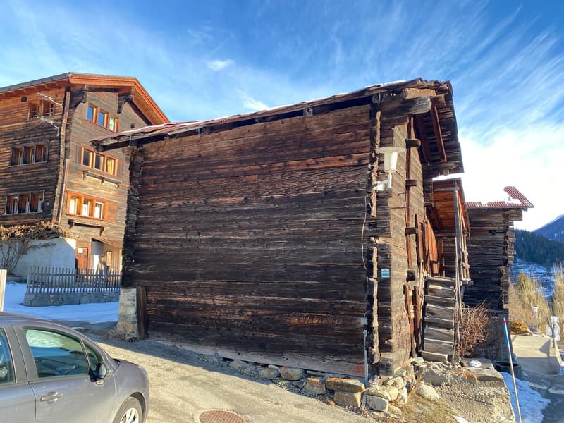 Stall Arnika in Fiesch (2)