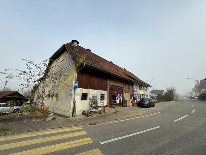 Terreno edificabile spazioso con fattoria (9)