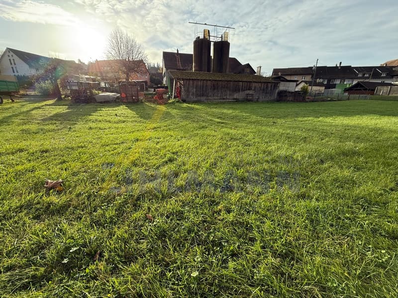 Terreno edificabile spazioso con fattoria (5)