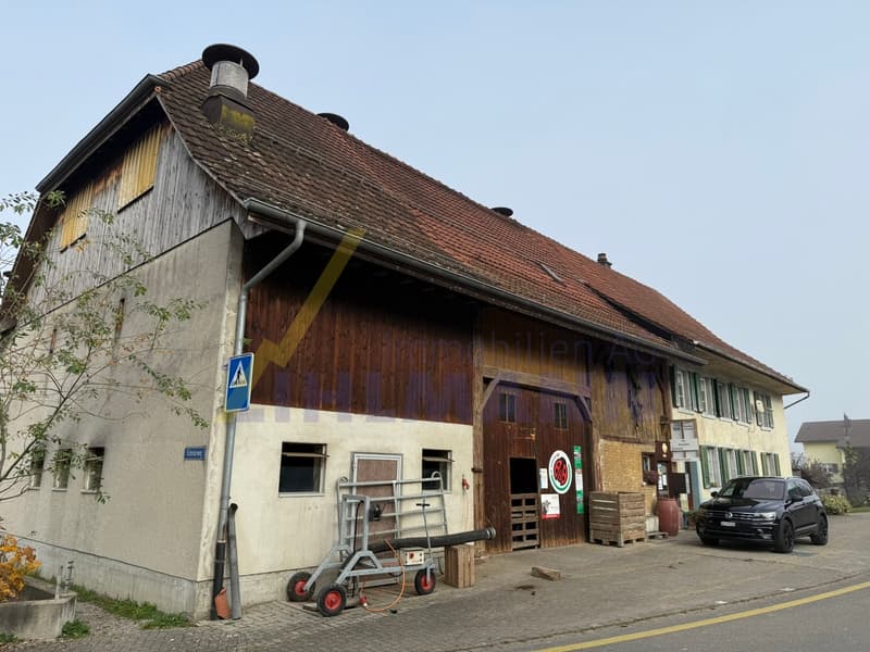 Terreno edificabile spazioso con fattoria (3)