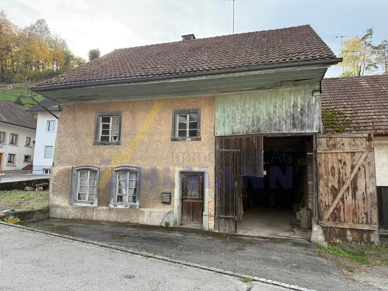 Sanierungsbedürftiges Haus im Herzen von Würenlingen (1)