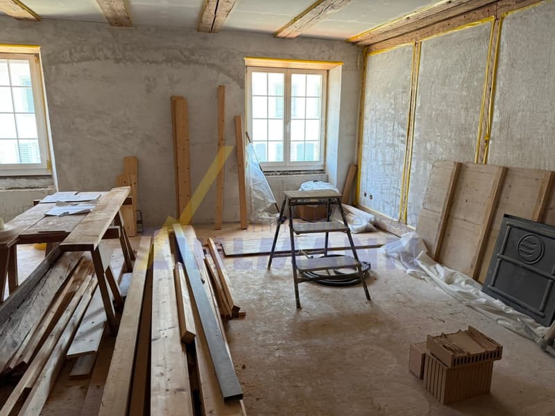 Historic residential and commercial building with potential (7)