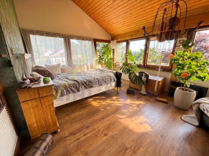 Charming 6.5-room single-family house with separate apartment (4)