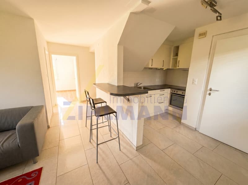 Charming 6.5-room single-family house with separate apartment (9)