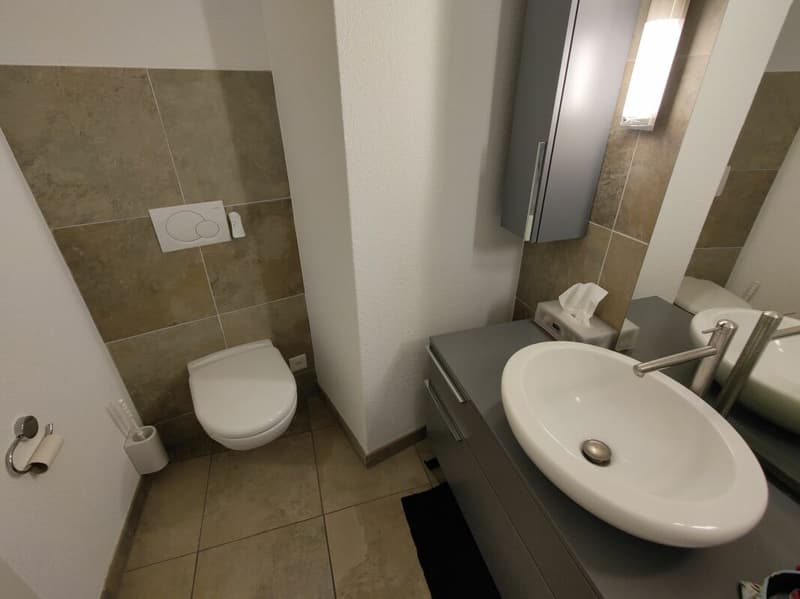 Appartamento 3.5 locali Vinelz (15)