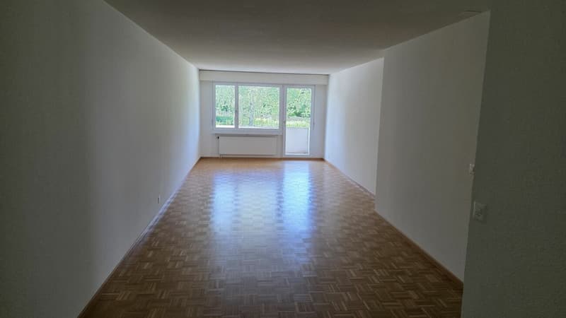 Bright 3.5-room apartment (4)