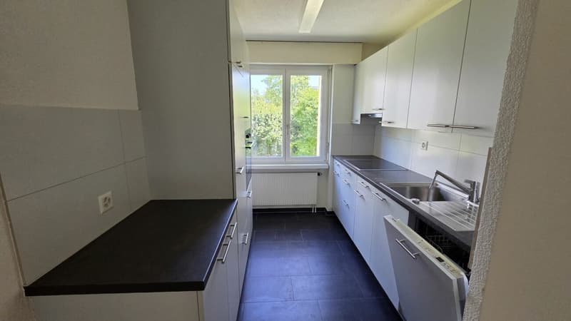 Bright 3.5-room apartment (5)