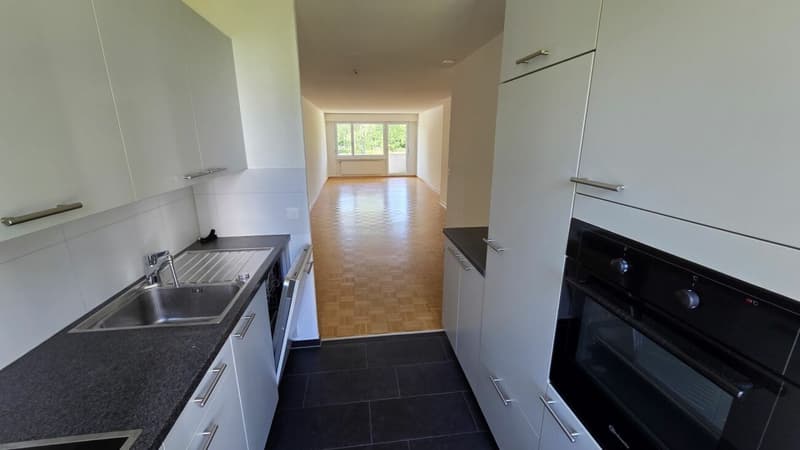 Bright 3.5-room apartment (1)