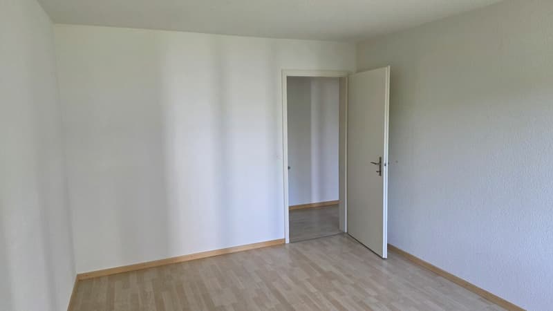 Bright 3.5-room apartment (11)