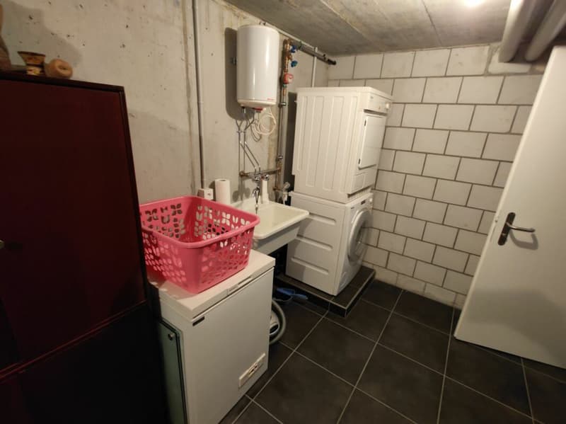 Appartamento 3.5 locali Vinelz (11)