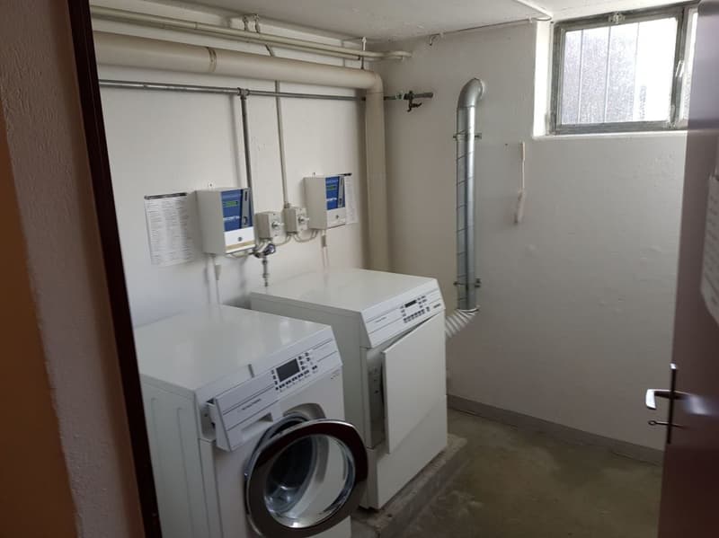 Appartamento di 3 camere al piano rialzato - recentemente ristrutturato (10)
