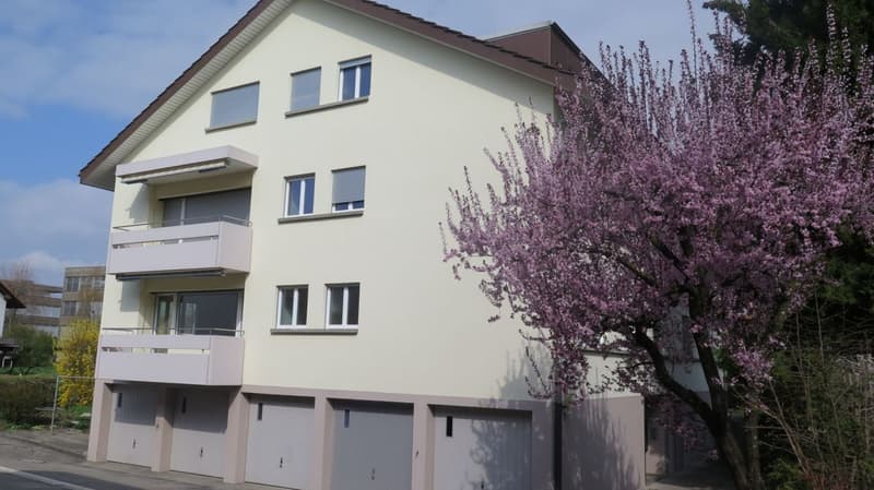 Appartamento di 3 camere al piano rialzato - recentemente ristrutturato (1)