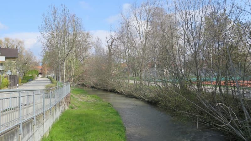 Appartamento di 3 camere al piano rialzato - recentemente ristrutturato (12)