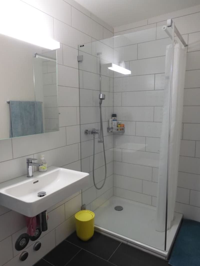 Topmoderne Wohnung - 3.5 Zi-Wohnung Bahnhofsnah, sonnig und geräumig (6)