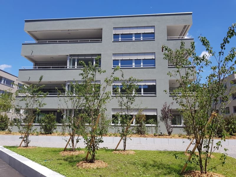 Topmoderne Wohnung - 3.5 Zi-Wohnung Bahnhofsnah, sonnig und geräumig (10)